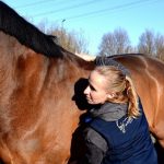 GRATIS e-book 5 blokkades bij het paard Sandy Jansen paardenosteopathie