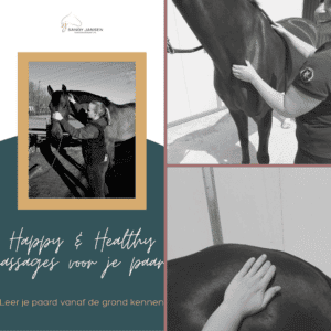 HAPPY & HEALTHY Massage voor je paard!