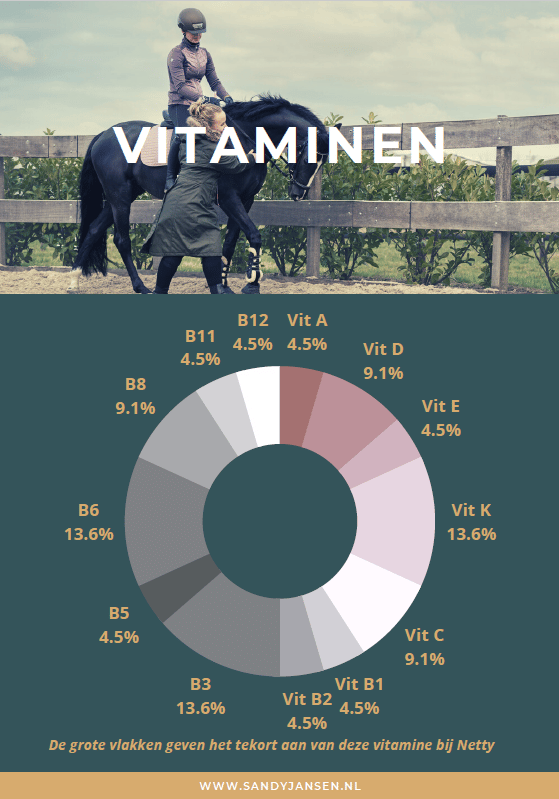 Sandy Jansen Paardenosteopaat vitaliteitsanalyse voorbeeld